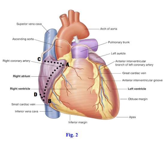 Fig 8-2